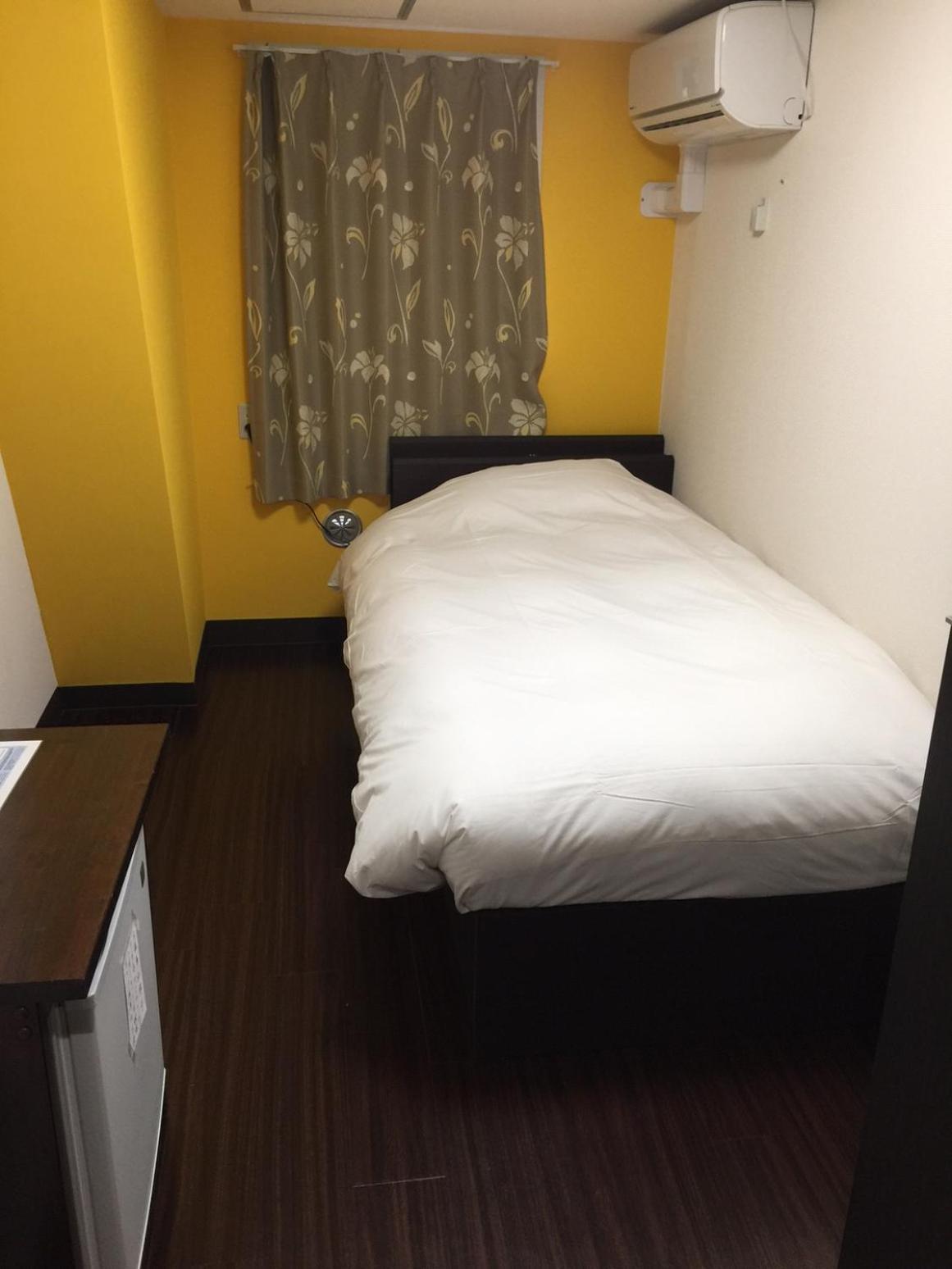 Hotel Ace Asakusa