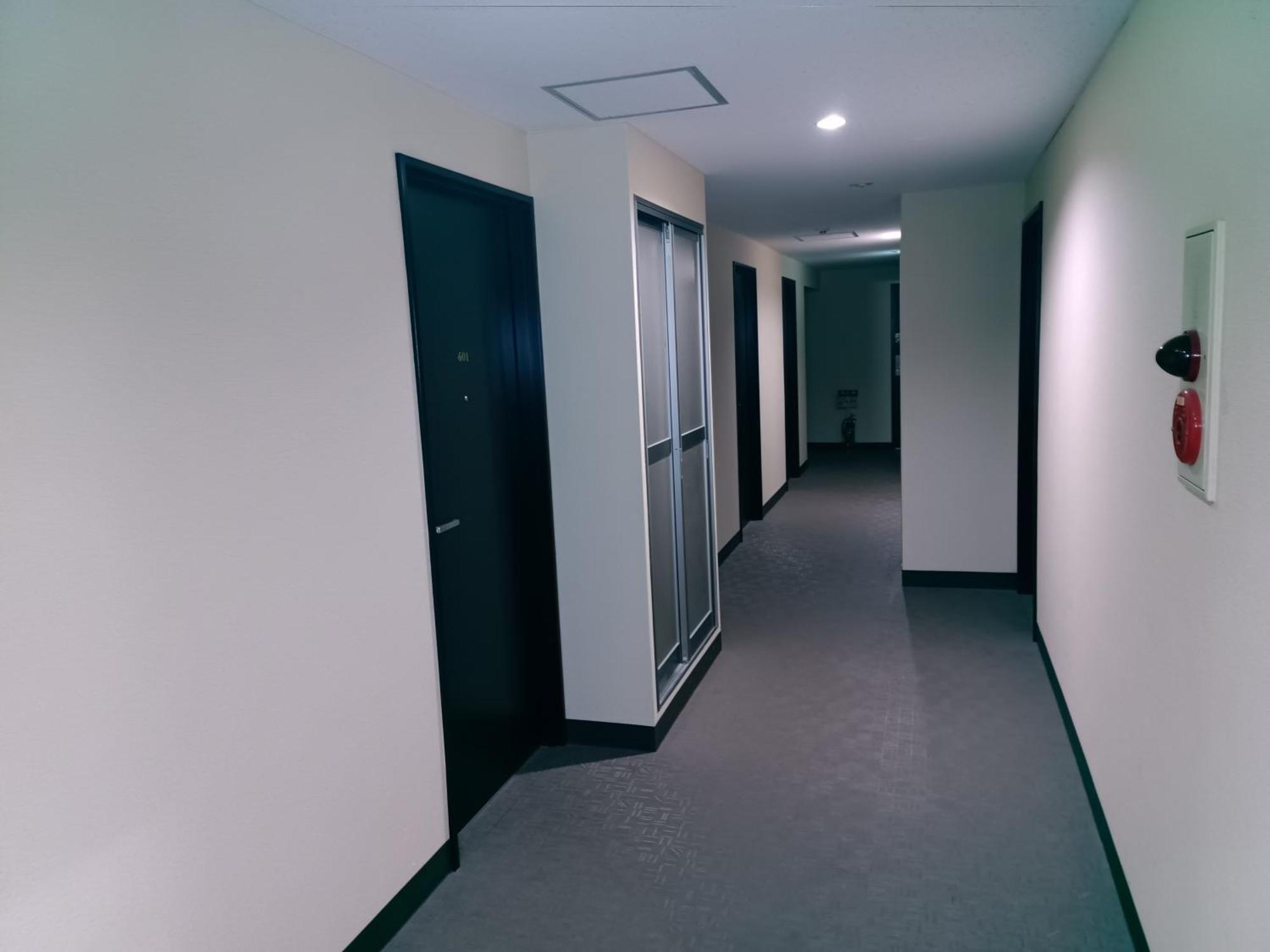 Hotel Ace Asakusa Tokio